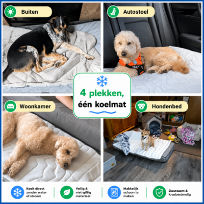 PawCool – Orthopedische Koelmat voor Honden