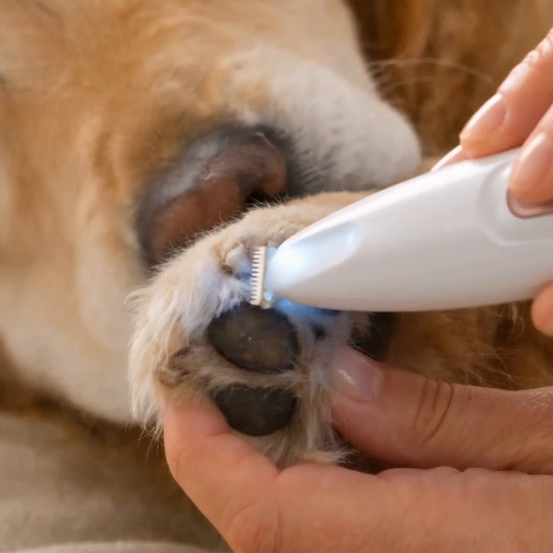 Close-up van een hondenpoot die met de Paw &amp; Fur Trimmer wordt bijgewerkt, met het ledlampje aan